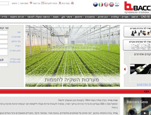 מערכות לניהול תכנים באינטרנט